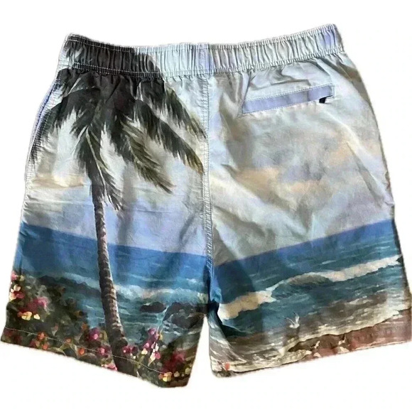 Island Haze Mens Board Shorts Blue Bathing Suit Beach Ocean XXL Youth - Picture 4 of 12